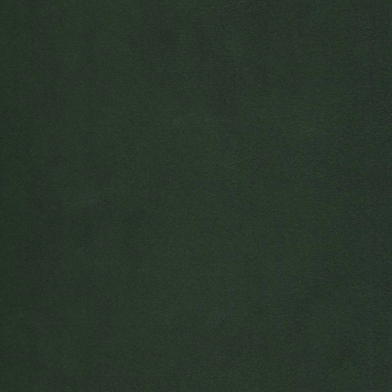 Vitrine Cardet 13 Vitrine Cardet – Image 11